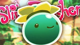 TODOS LOS SLIMES  Slime Rancher 16 [upl. by Einre]