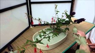 Ikebana in 10 minutes Part 2 [upl. by Aronaele]