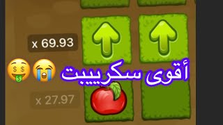 1xbet melbet apple of fortune hack trick أقوى سكرييبت للربح بدون خسارة [upl. by Notsehc]