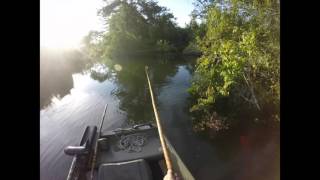 jigger pole fishing White Springs FL [upl. by Jeremy]