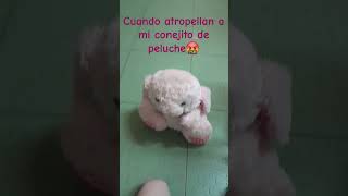 Cuando atropellan a mi peluche🤬 cat memes [upl. by Martin206]