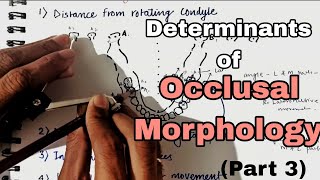 Occlusal Morphology Vertical and horizontal Determinants Occlusion  TMJ [upl. by Harp]