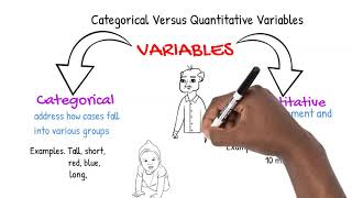 Categorical Versus Quantitative Variables [upl. by Raffo222]