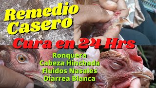 Remedio Casero para CURAR Moquillo Diarrea Blanca Ronquera Ojo Hinchado en Nuestras Gallinas [upl. by Anirtek]