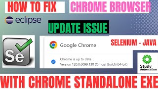 How to Fix Chrome Browser Update Issue in Selenium with Chrome exe SeleniumJava Latest Version [upl. by Janessa]