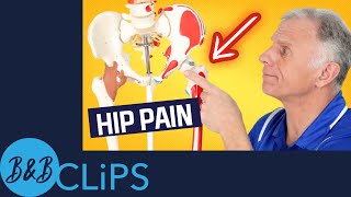 Is Your Hip Pain Coming From Your Back pt 3 YT [upl. by Sirahs904]