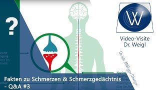 Chronischer Schmerz das Schmerzgedächtnis psychosomatische Schmerzen amp Schmerztherapie ☎QampA 3👥 [upl. by Abraham]