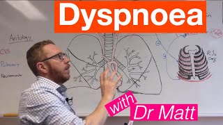 Dyspnoea  Respiratory System [upl. by Annalise15]