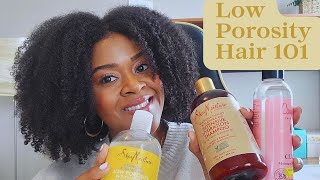 Best Products for Low Porosity Hair amp Ingredients to Avoid [upl. by Ruprecht]