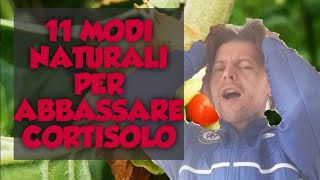 CORTISOLO COME ABBASSARLO  COSA MANGIARE  ASHWAGANDHA E ALTRI INTEGRATORI [upl. by Aisaim]