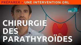 Information Patient  Chirurgie des glandes parathyroïdes [upl. by Collie]