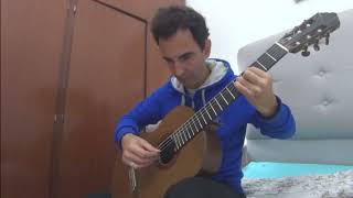 🎼Las cosas simples Chavela Vargas cover guitarra fingerstyle Nicolás Olivero [upl. by Arikahs]