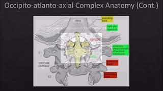 Spine Injuries 03  Occipitoatlantoaxial Injuries 01 [upl. by Edgardo]