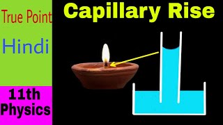 🔴 Capillary Rise  Surface Tension  in Hindi [upl. by Materse]