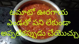 టమాటో నిల్వ పచ్చడి తినే కొద్దీ తినాలనిపించే tomato pickletrendingviral anush ammulu vlogs [upl. by Anihpled]