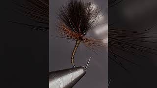 Dry fly heaven for scottish brown trout scotland flytying flyfishing browntrout [upl. by Sikata383]