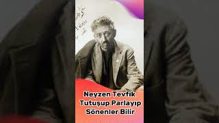 Neyzen Tevfik  Tutuşup Parlayıp Sönenler Bilir [upl. by Edlitam68]