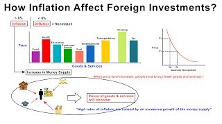 How Inflation Affect Foreign Investments of a Nation  Macroeconomics [upl. by Lemkul]