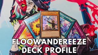 Competitive Floowandereeze deck profile post Phantom Nightmare PHNI February 2024 TCG Yugioh [upl. by Leuqram228]