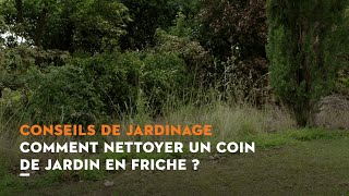 Comment nettoyer et restaurer son jardin en friche   Conseils de jardinage STIHL [upl. by Ylrrad]