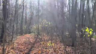 Hike through Hogsback to the old Ice House conneaut hiking woods [upl. by Henigman]