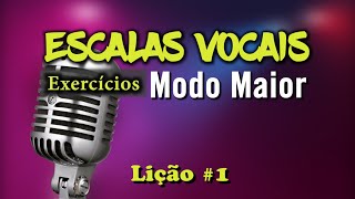 Técnica Vocal Iniciantes  Vocalizes Sobre Escalas  Modo Maior [upl. by Swart]