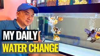 How To Do Water Changes for Your Goldfish Fry [upl. by Mauldon]