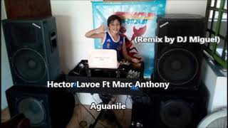 Hector Lavoe Ft Marc Anthony  Aguanile Remix By DJ MiGuel [upl. by Blaseio81]