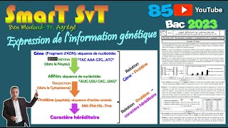 85Bac2023Exercice GénétiqueMutation ARNm [upl. by Hannahsohs]