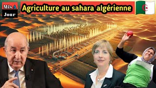 Un eldorado agricole  Le Sahara algérien séduit les investisseurs [upl. by Viveca]