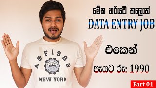 පැයට  5  10  උපයන්න Data Entry job එකක්  Best Data Entry Job Work at Home  SL Manawaya [upl. by Ayanet]