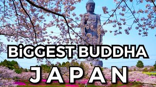 The BiGGest Buddha 120m • Virtual Japan • Ushiku Daibutsu shorts [upl. by Liw]