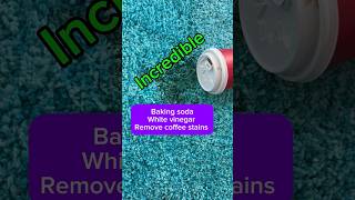 Baking soda amp vinegar carpet stains removal cleaning home [upl. by Monafo]