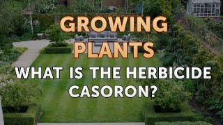 What Is the Herbicide Casoron [upl. by Anselma]