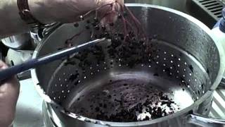 How to Make Elderberry Jelly using a Steam Juicer [upl. by Matthieu241]