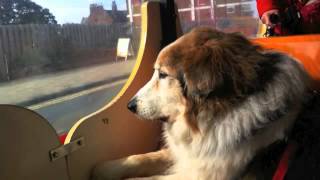 Hunstanton Land Train [upl. by Torrey]