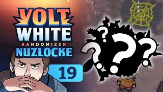 Pokemon Volt White  Randomizer Nuzlocke  EP19  A New Team Assembles [upl. by Naux]