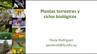 Teórico 10 Grupos de plantas terrestres y ciclos biológicos [upl. by Ziwot]