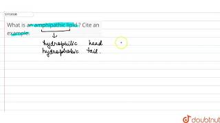 What is an amphipathic lipid  Cite an example  11  BIOMOLECULES  BIOLOGY  PRADEEP  Doubt [upl. by Haggai265]