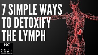 What is The Lymph System  7 Simple Ways to Cleanse and Detoxify The Lymphatic Glands [upl. by Olpe]