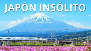 JAPÓN INSÓLITO  Las maravillas más alucinantes de Japón [upl. by Louisa]