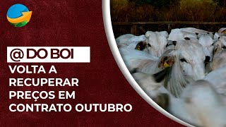 Contrato outubro para a arroba bovina tem forte recuperação nesta semana retomando boa parte do [upl. by Ateuqirne]