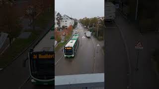 Buslinie 34 in Riehen Niederholz bus linienbus bvb busspotting mercedesbus shorts yt [upl. by Durrace]