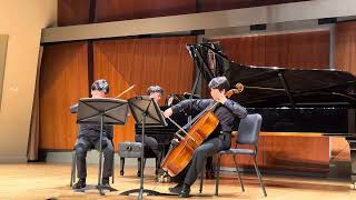 Beethoven Trio Op 1 No 3 in c Minor 1st movt [upl. by Donohue303]