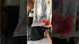 Betta Fish secret Water condition ⁉️ [upl. by Tesil]