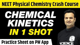 CHEMICAL KINETICS in One Shot  All Concepts Tricks amp PYQs Covered  Class 12  NEET [upl. by Eceined]