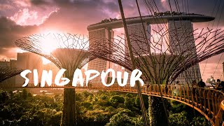 VISITER SINGAPOUR POUR LA 1ère FOIS  TOP 10 des visites et activités  VLOG VOYAGE [upl. by Darrell]