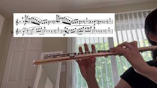 9424 practice Till till till Eulenspiegel’s Merry Pranks flute excerpt [upl. by Kling]