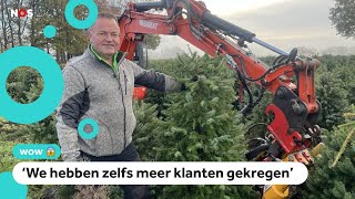 Duizenden vernielde kerstbomen toch verkocht [upl. by Fevre767]