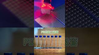 F5 flat head PT PD photosensitive diode infrared smoke sensor diode [upl. by Ellynad]